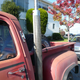 Illustration for article titled 1978 Dodge D150 Power Wagon